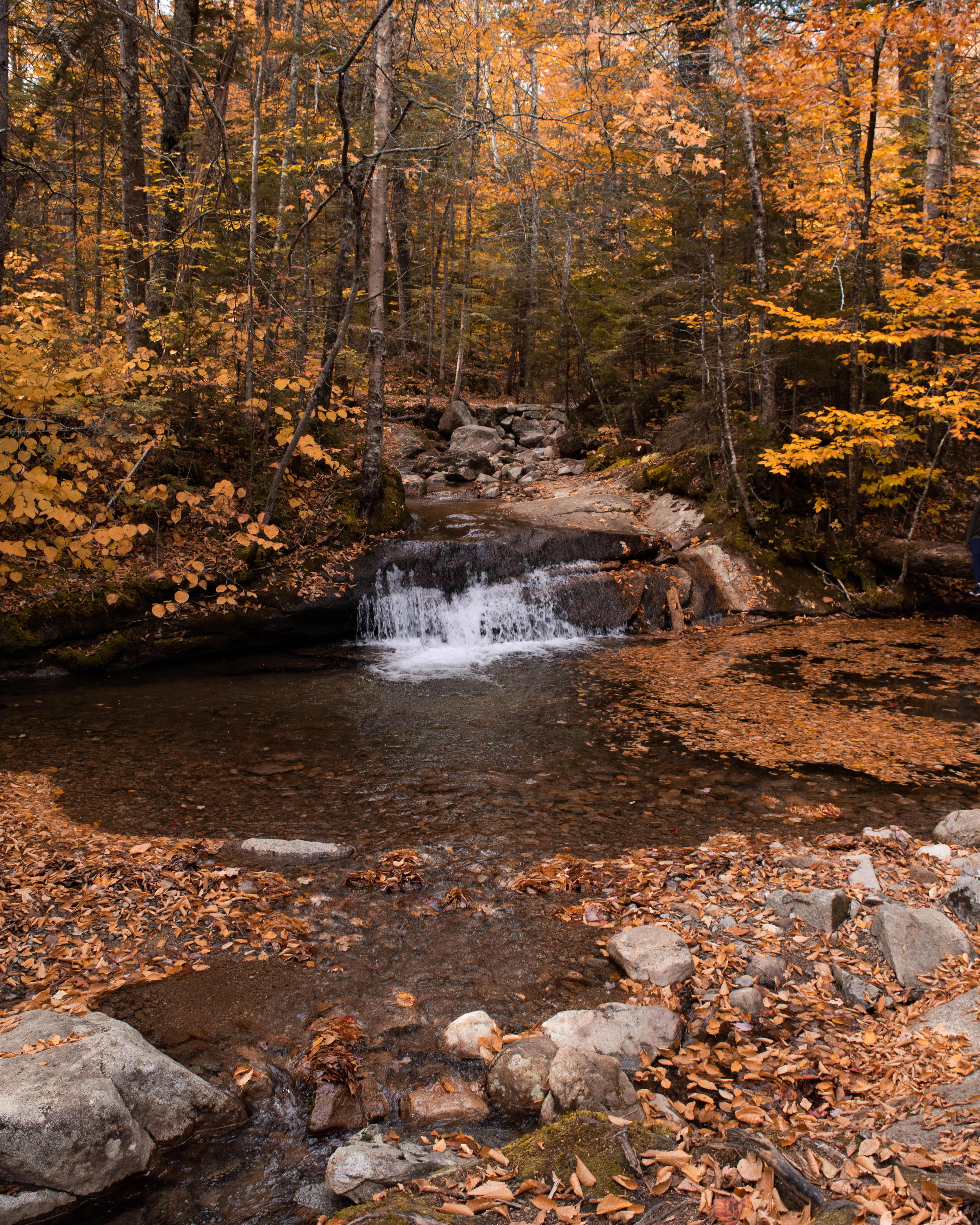 Fall Leaves and Waterfall in Lincoln New Hampshire