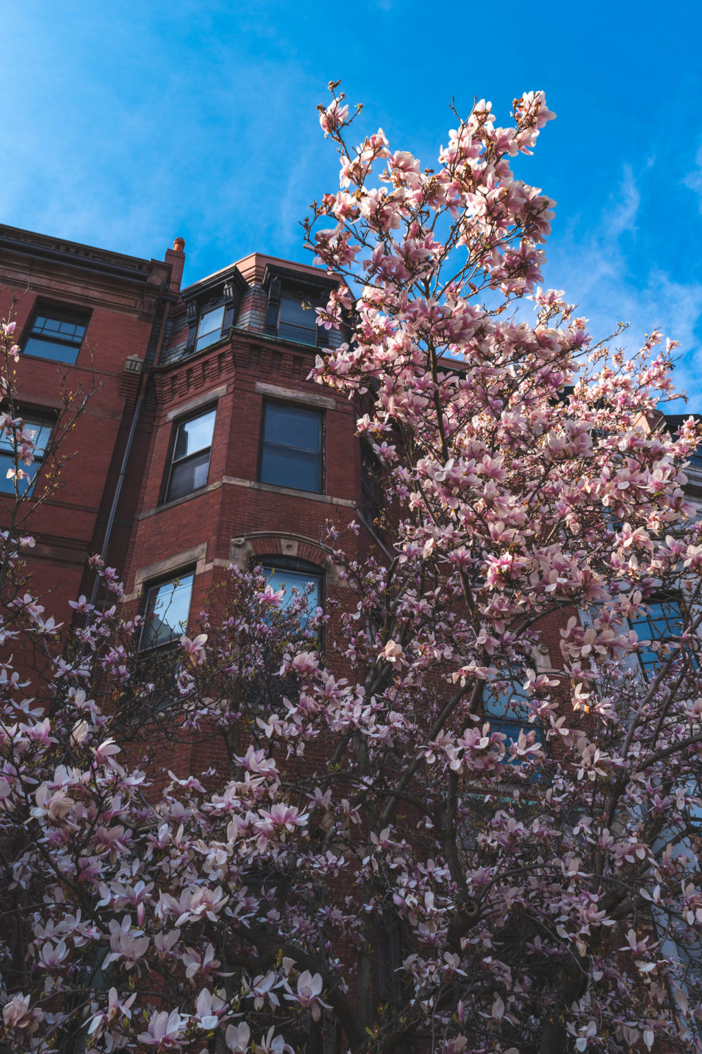 Spring in Boston - The Wicked Weekend