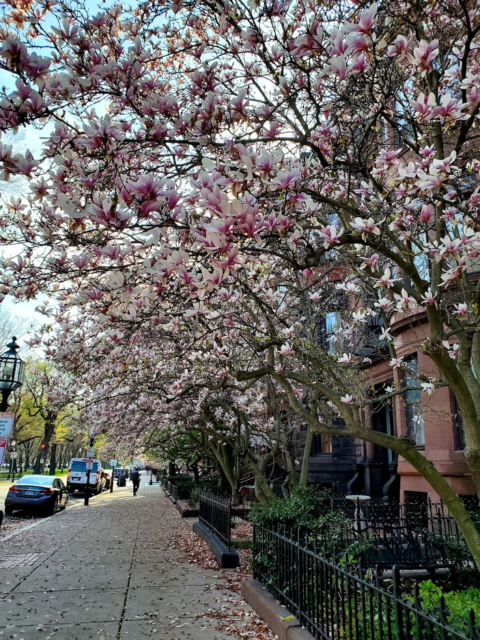 Spring in Boston - The Wicked Weekend