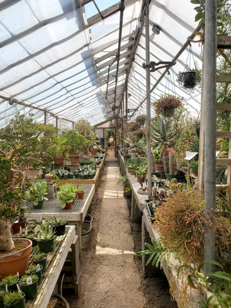 Inside Another Greenhouse at Peckham's Greenhouse - Rhode Island Summer Travel